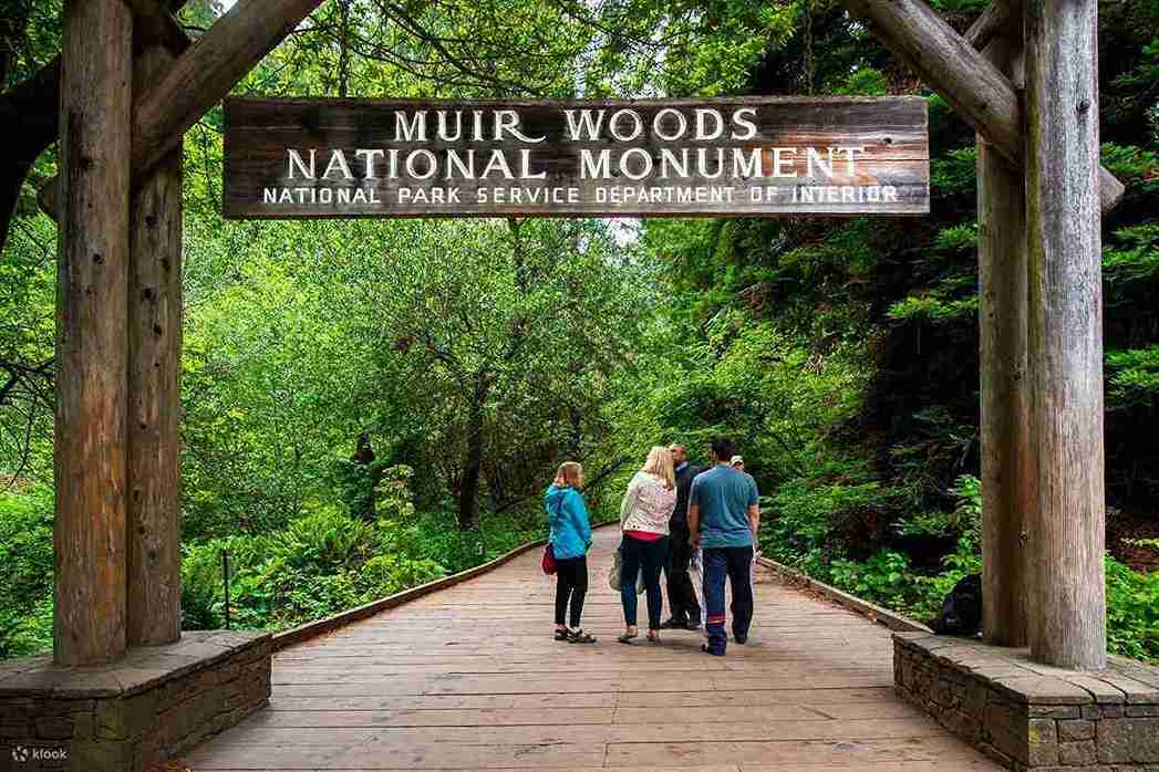 Muir Woods and Sausalito Tour