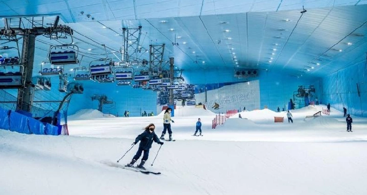 Ski Dubai Tour Private Transfer