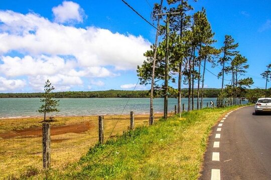 Exotic South: Journey into the Nature (Full-Day Tour incl Lunch & Ebony Forest) (Trou d'Eau Douce)
