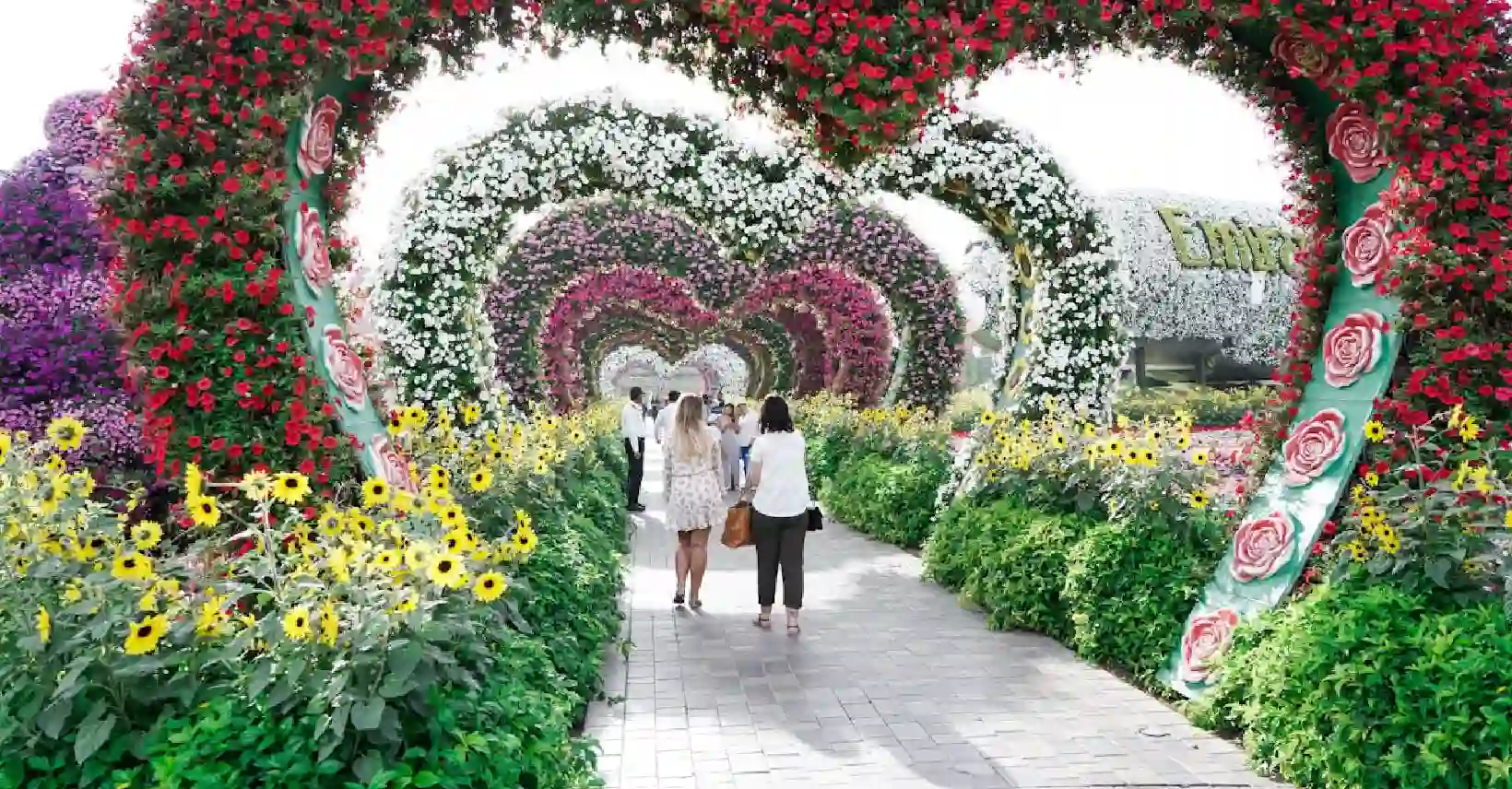 Miracle Garden Dubai