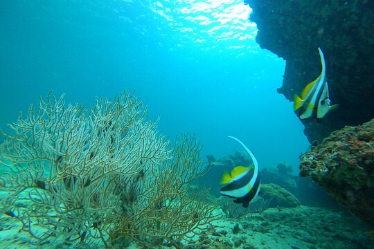 Phi Phi Islands Adventure Day Trip with Seaview Lunch by V.Marine (Shared Transfer)
