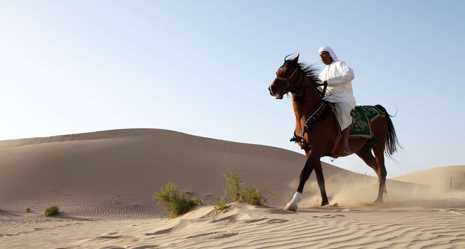 Arabian Morning Horse Riding & Stable Tour