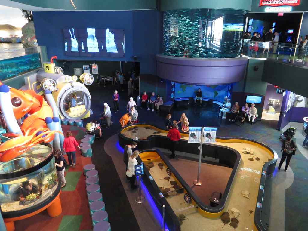 Ripley's Aquarium of Canada entry ticket