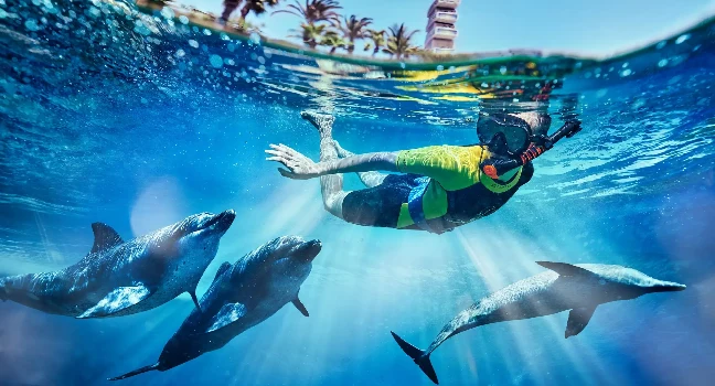 Dolphin Bay Atlantis Tickets