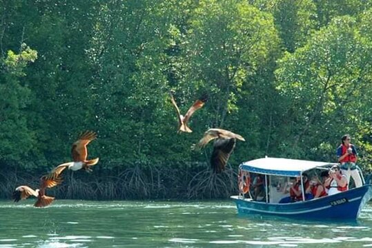 Sharing Half Day Kilim Geoforest Park Mangrove Boat Tour - Sharing-Half Day Boat