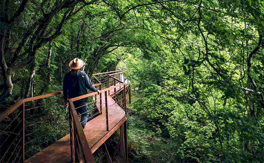 Mtirala National Park hiking tour