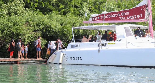 Full-Day Catamaran Cruise to Île aux Cerfs with BBQ Lunch (Catamran isle aux cerfs) (CHAMAREL)