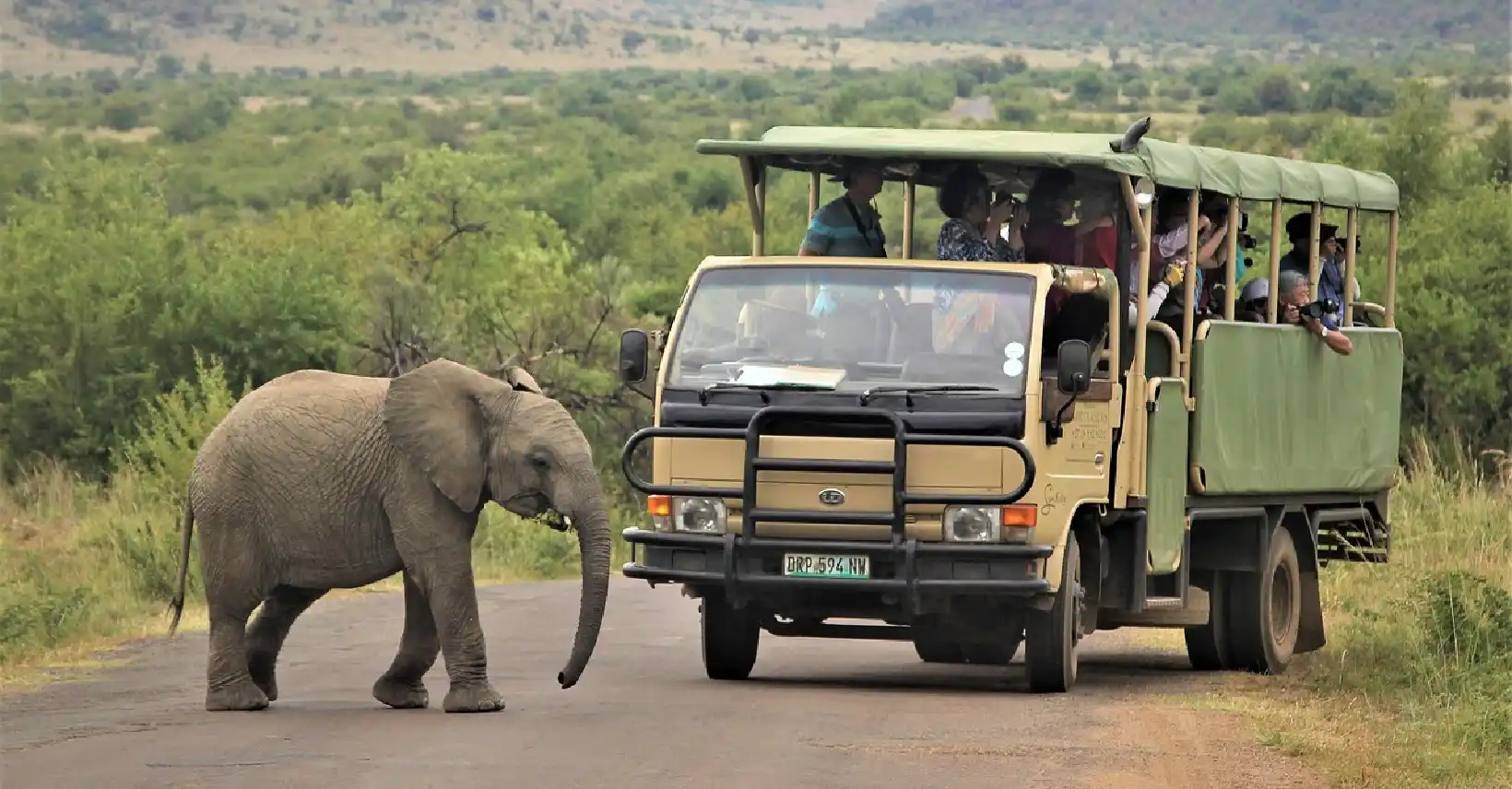 Full-Day Safari in Kruger National Park