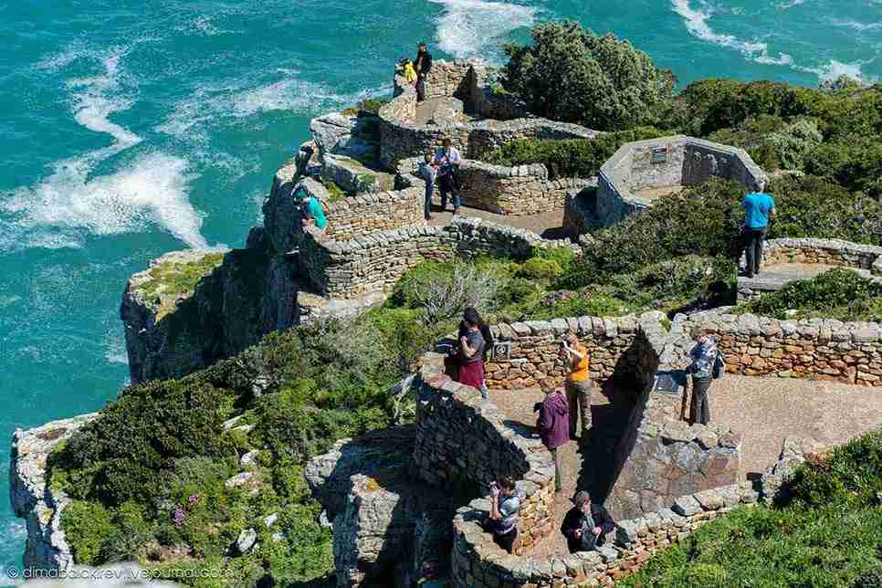 Cape of Good Hope & Boulder Penguins Full-Day Tour from Cape Town