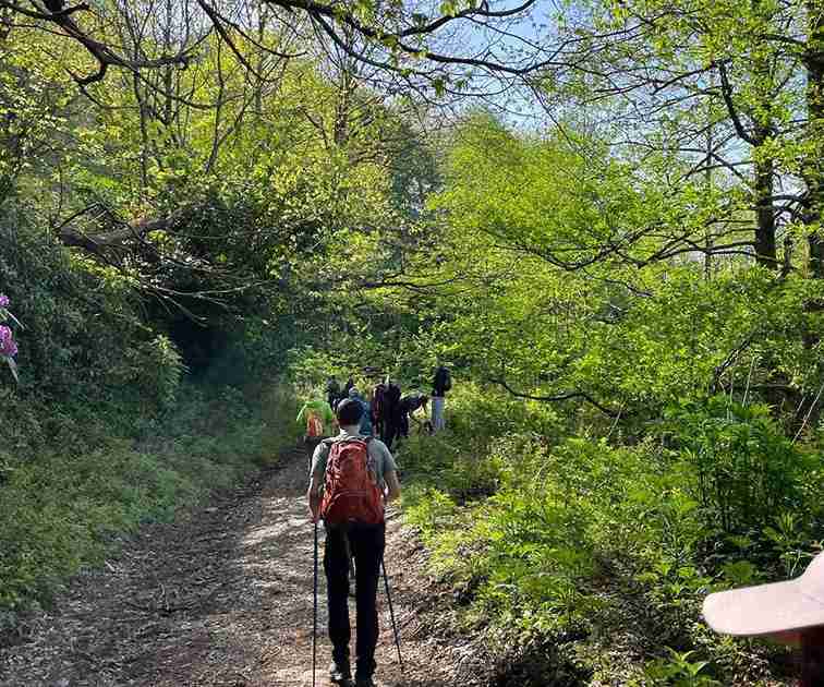 Batumi & Mtirala N.P. Hiking tour from Kutaisi