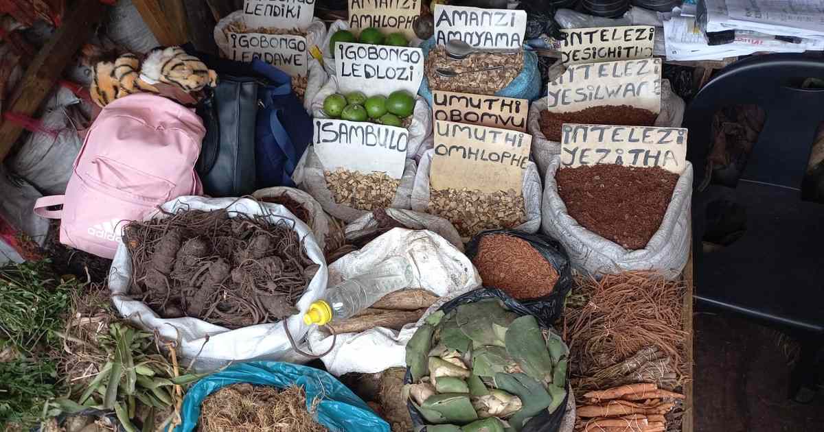Durban Local Markets and Culture Guide