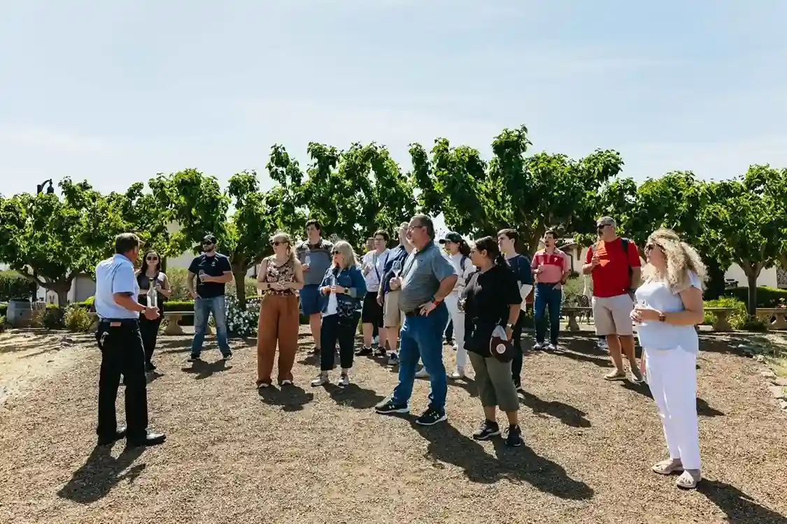 Napa Valley and Sonoma Wine Tour 2025