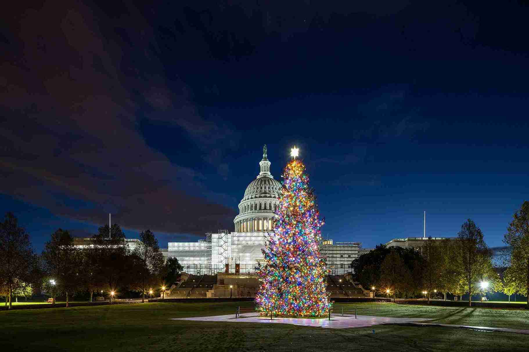 Washington DC Small Group Sightseeing Tour