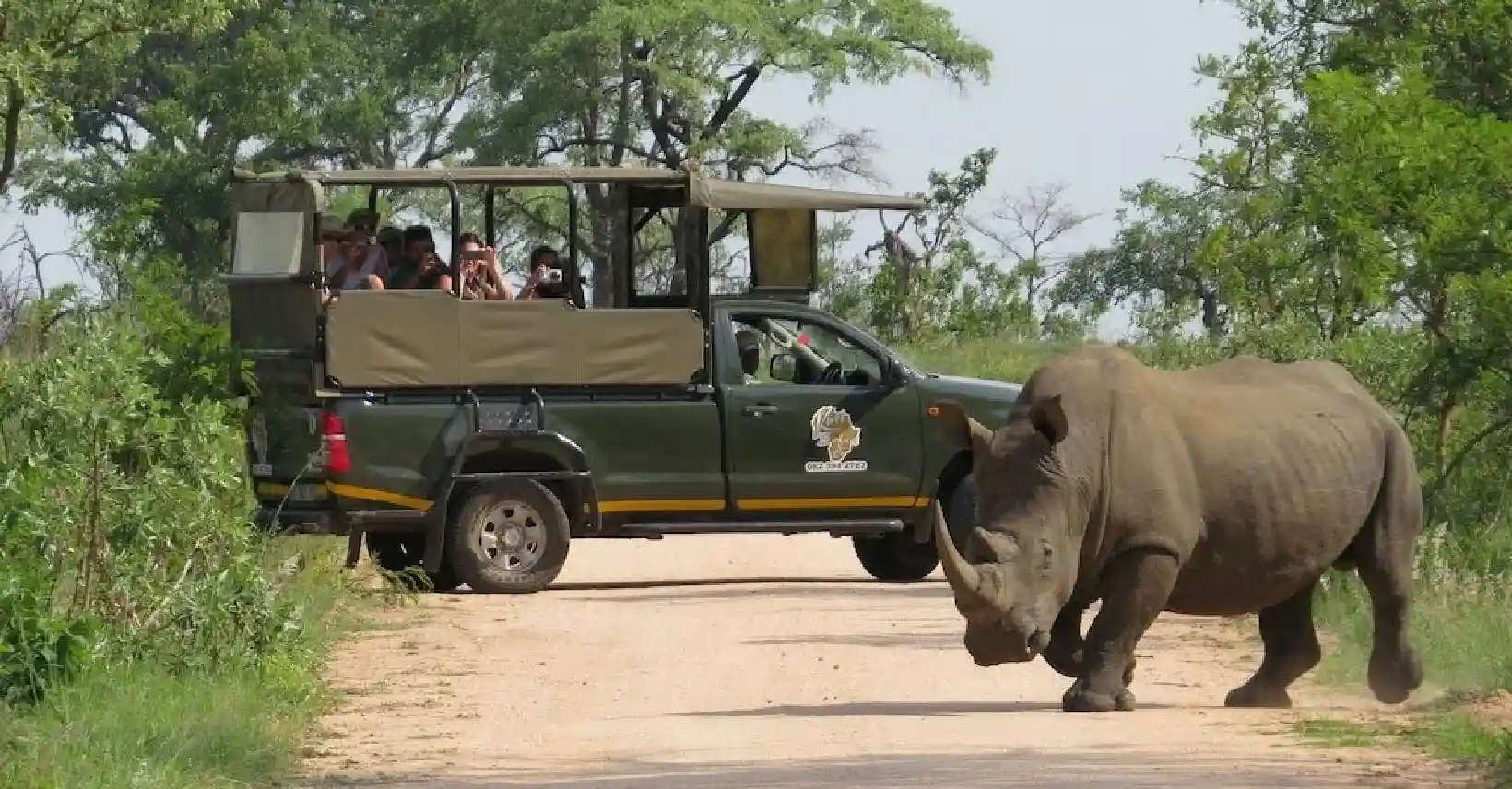 Full-Day Safari in Kruger National Park