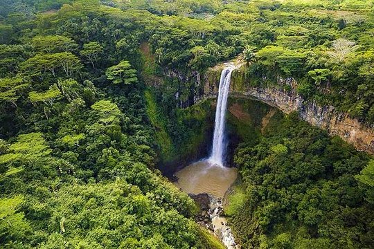 Exotic South: Journey into the Nature (Full-Day Tour incl Lunch & Ebony Forest) (Trou d'Eau Douce)