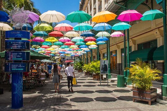 Discovering the North of Mauritius: Full-day incl Botanical garden & lunch (Trou d'Eau Douce)