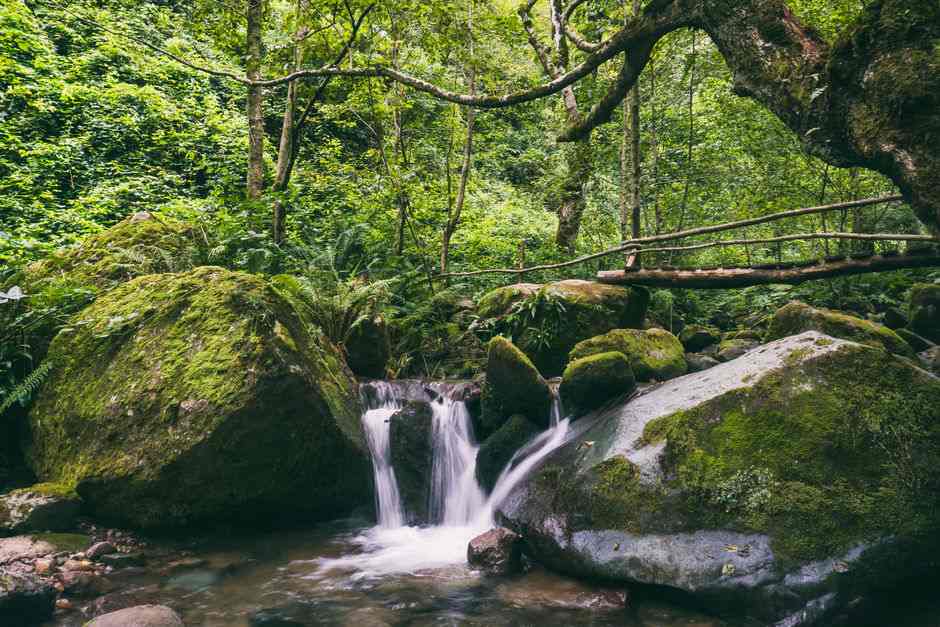 Mtirala National Park hiking tour
