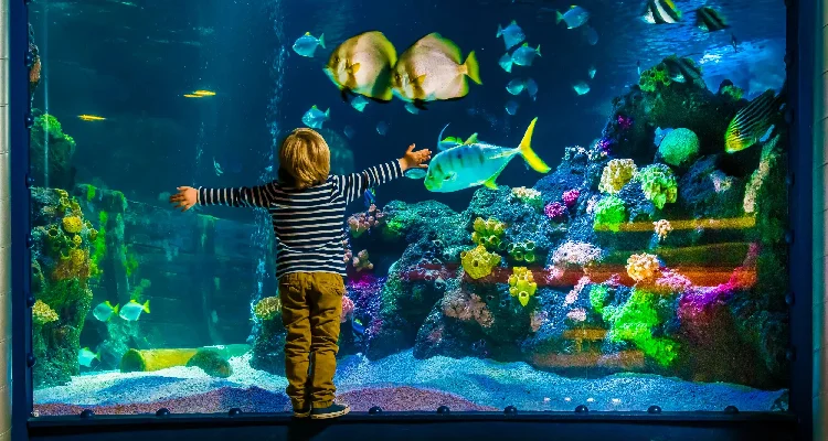 Deep Dive Dubai