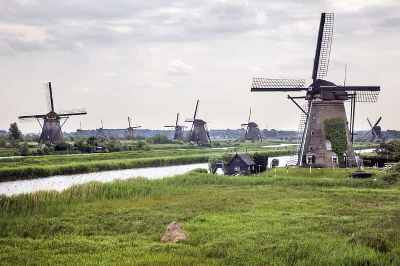 Rotterdam Waterbus Ticket to Dordrecht & Kinderdijk