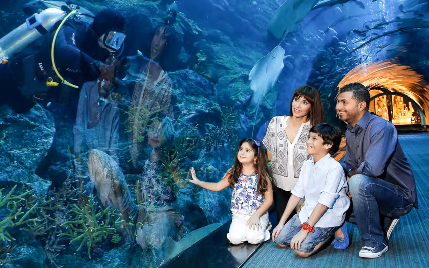 Dubai Mall Aquarium and Underwater Zoo