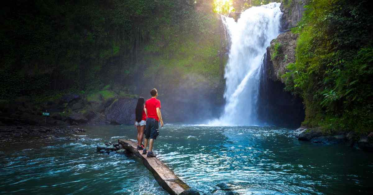 Best of Central Bali: Waterfall, Elephant Cave & Rice Fields