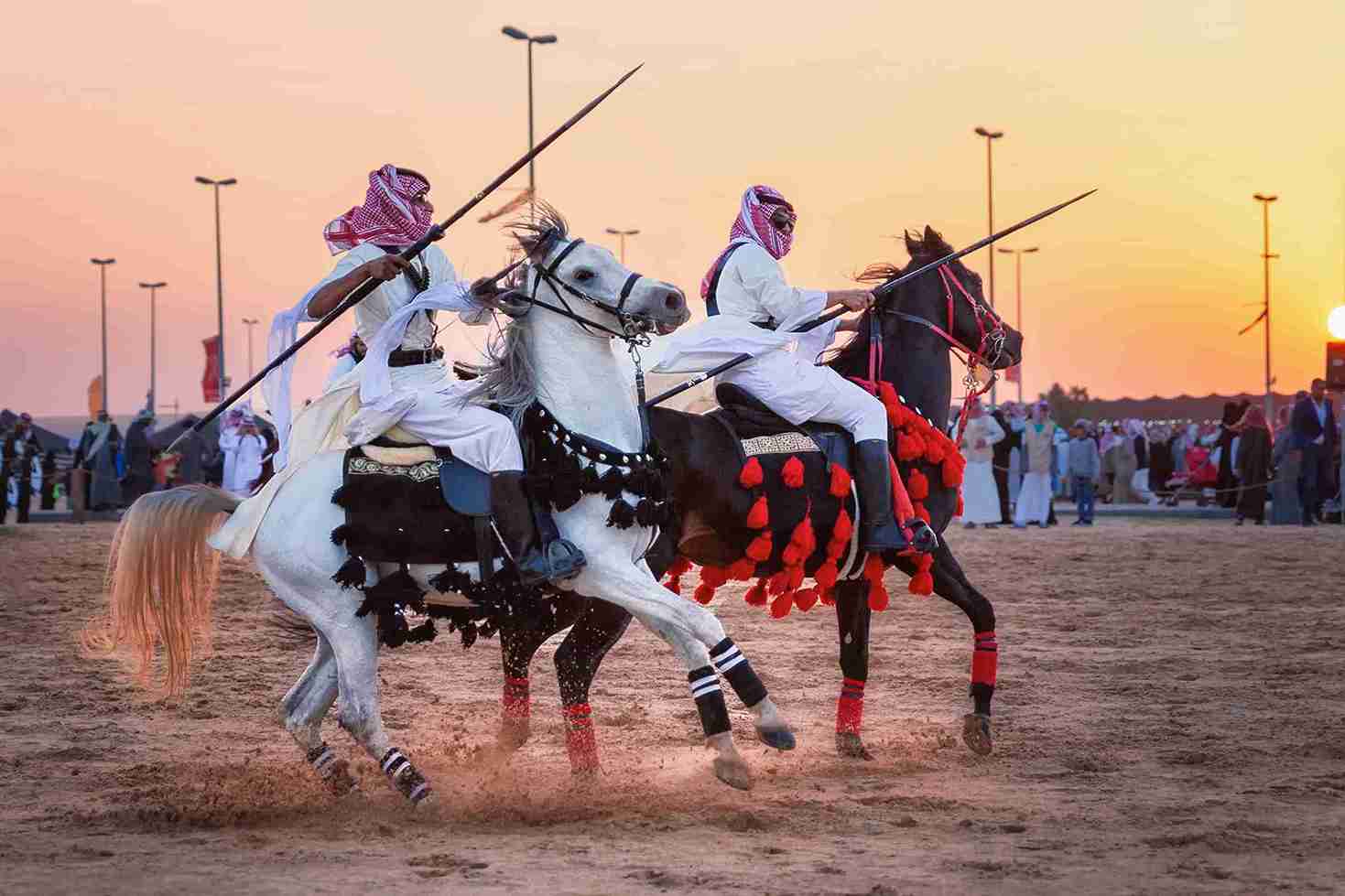 Arabian Morning Horse Riding & Stable Tour