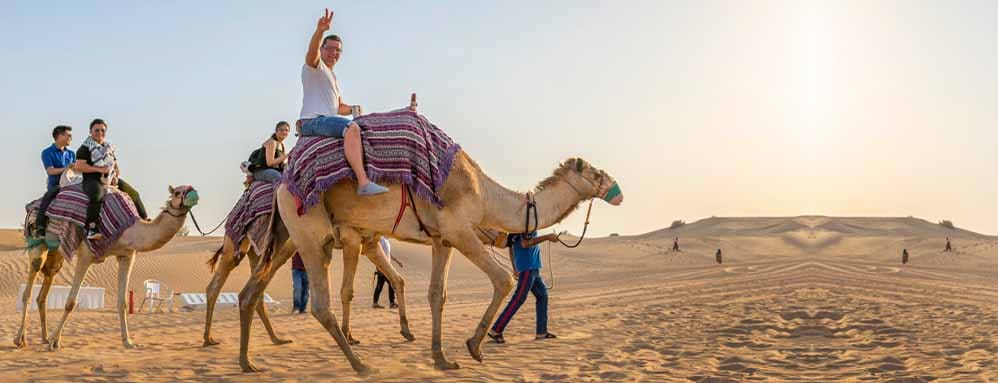 Camel Trekking in Abu Dhabi