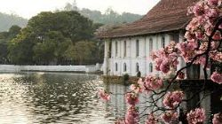 Stunning Sri Lanka