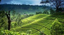 Splendours of Sri Lanka