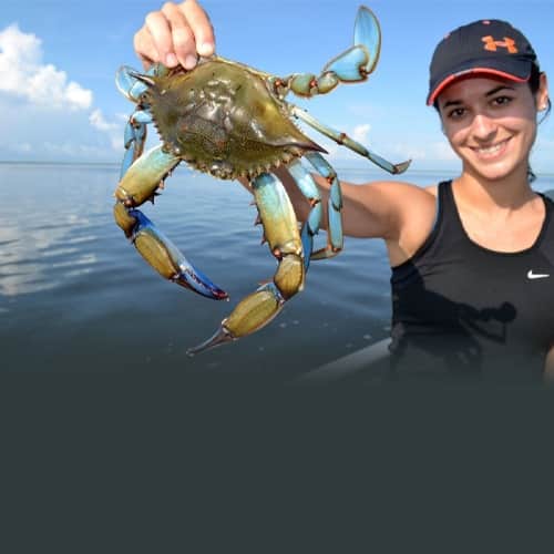 Crab Hunting UAE