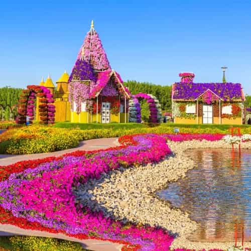 Miracle Garden Dubai