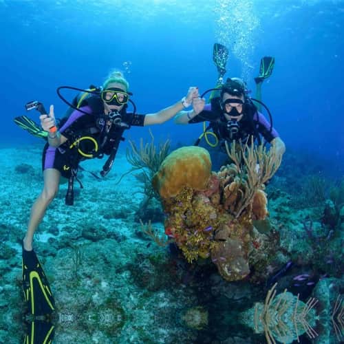 Scuba Diving Dubai