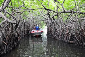 Highlights of Sri Lanka