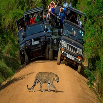 Splendours of Sri Lanka