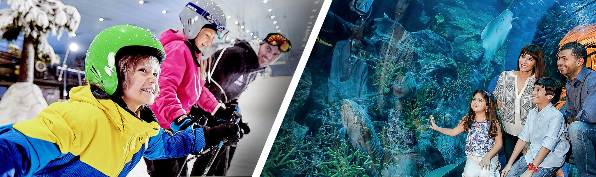 Ski Dubai + Dubai Mall Aquarium and Underwater Zoo
