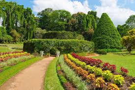 Highlights of Sri Lanka