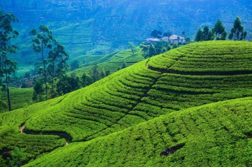 Highlights of Sri Lanka