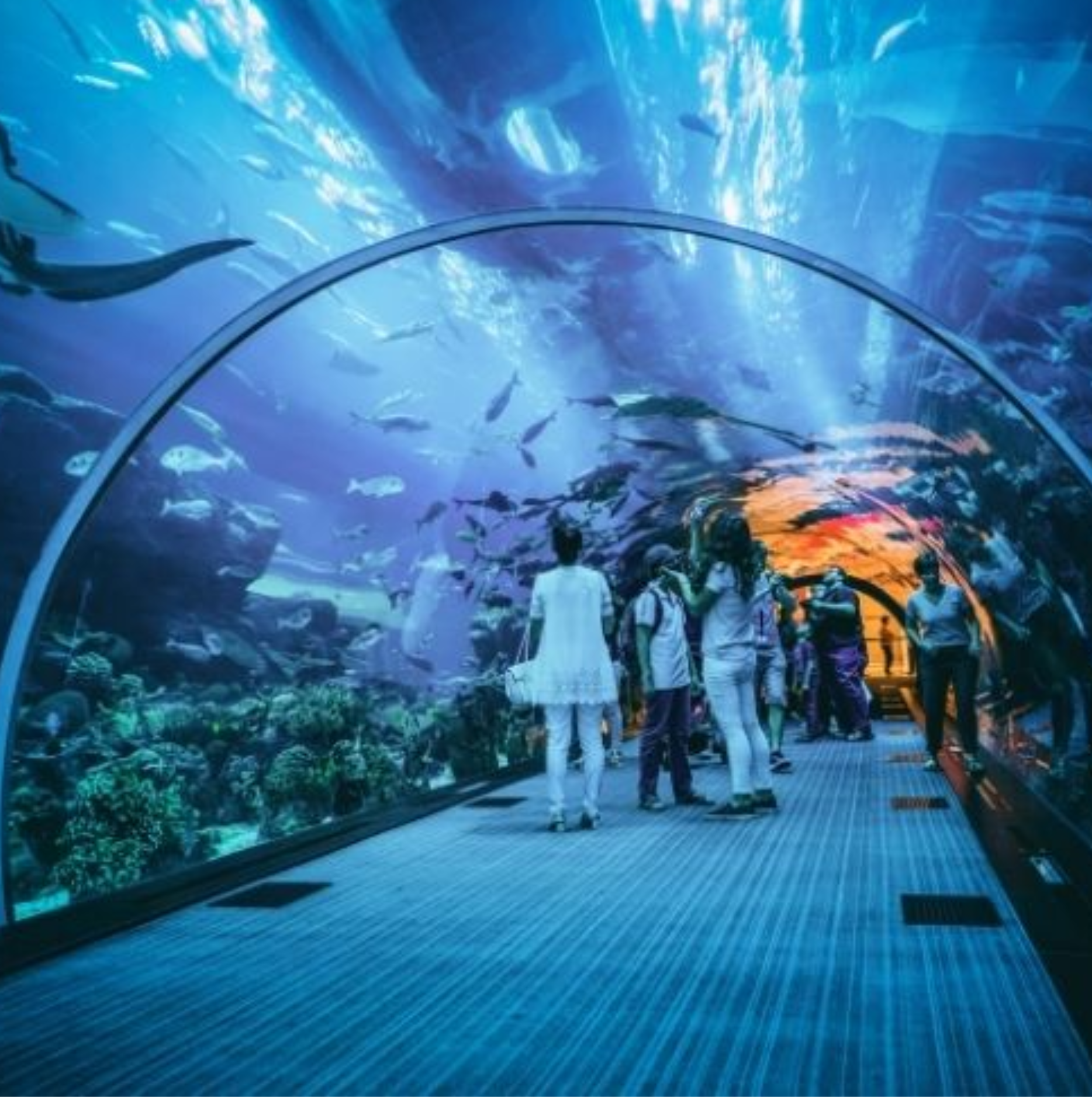 Summer Tour Package - Dubai