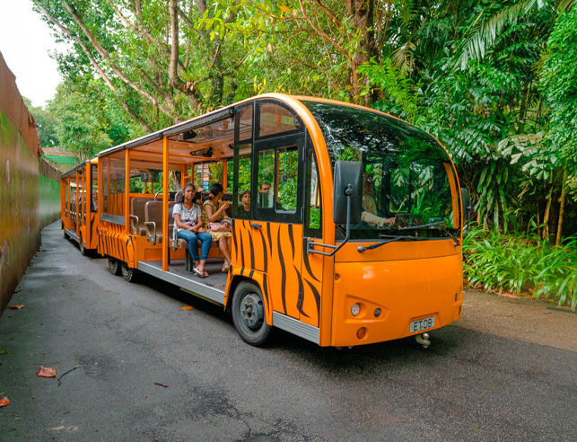 zoo with tram ride