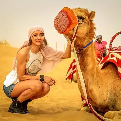 Premium Desert Safari Dubai