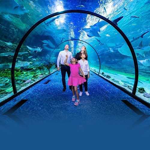 The National Aquarium Abu Dhabi