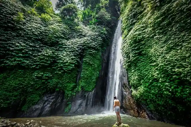 Best of Central Bali: Waterfall, Elephant Cave & Rice Fields