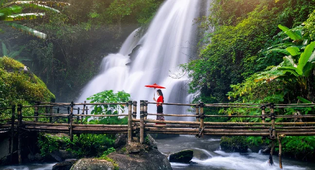 Doi Inthanon National Park and Chiang Mai Royal Project Tour