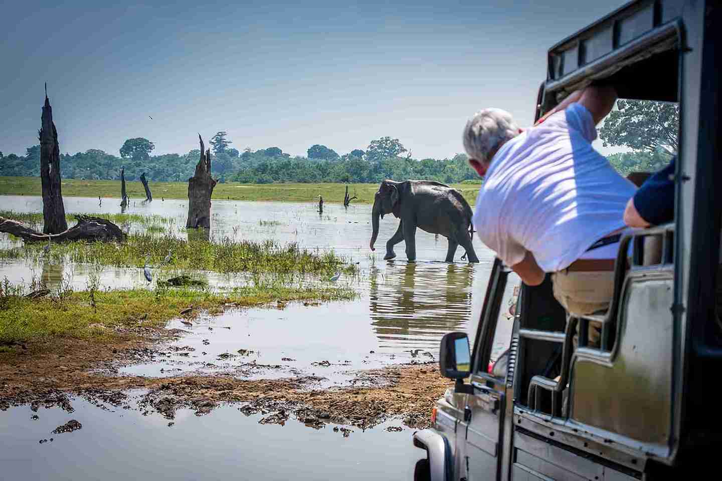 Wildlife SOS Agra Tour