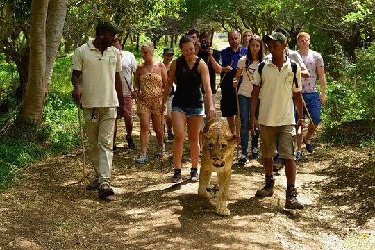 South of Mauritius Full Day Tour