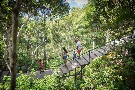 Exotic South: Journey into the Nature (Full-Day Tour incl Lunch & Ebony Forest) (Trou d'Eau Douce)