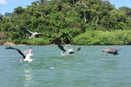 Sharing Half Day Kilim Geoforest Park Mangrove Boat Tour - Sharing-Half Day Boat