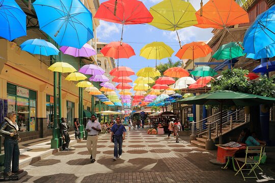 Discovering the North of Mauritius: Full-day incl Botanical garden & lunch (Trou d'Eau Douce)