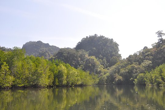 Sharing Basis Half-Day Mangrove Safari Boat Tour in Langkawi - Standard Lunch Set