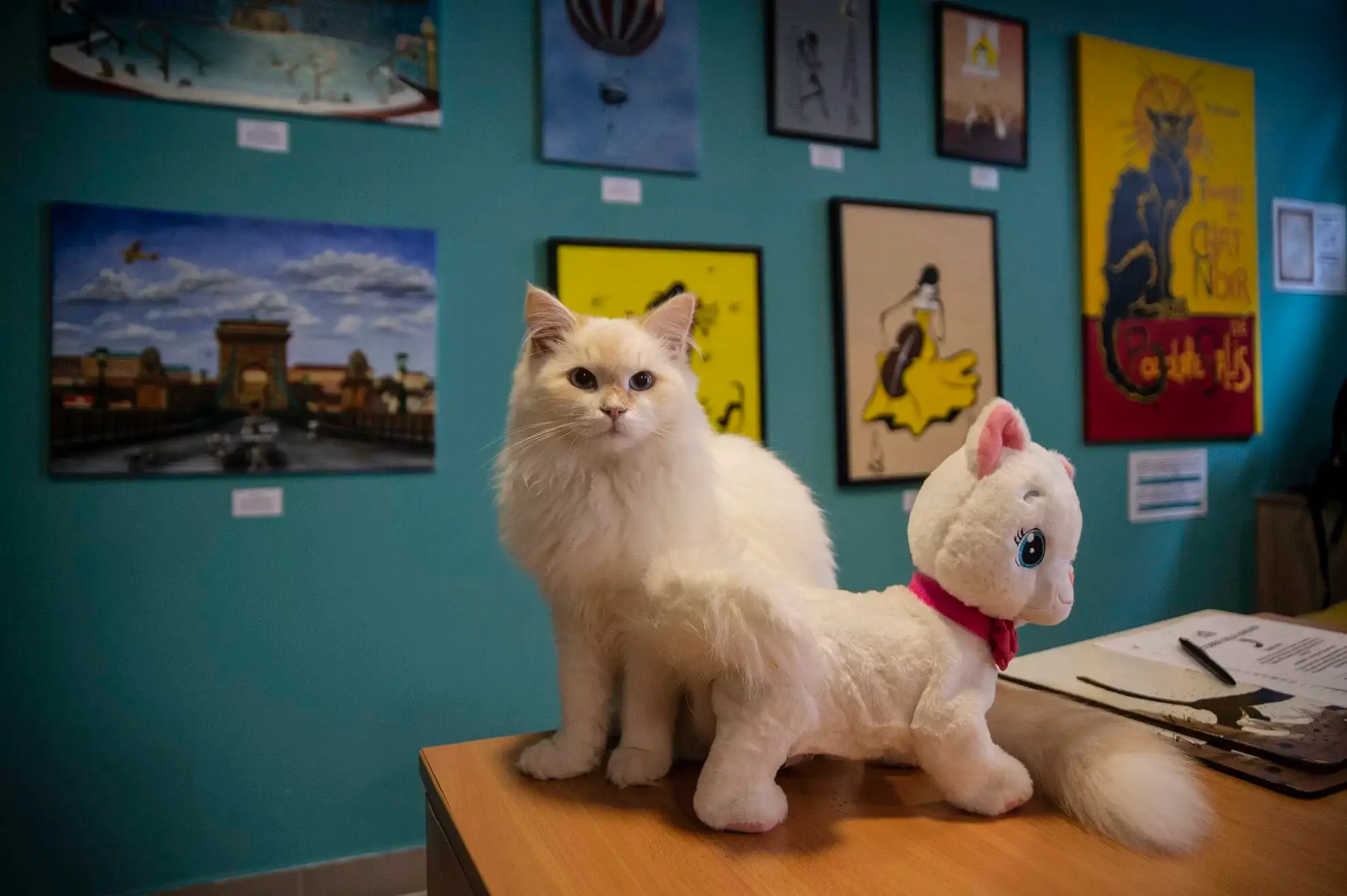  Cat Museum Budapest